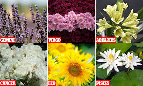 Other flowers associated with cancer: Flowers Of The Zodiac And Their Symbolic Meanings Daily Mail Online