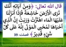 آيات وأقوال عن أهمية الماء قيمة الماء دور الماء في الحياة موقع مدرستي