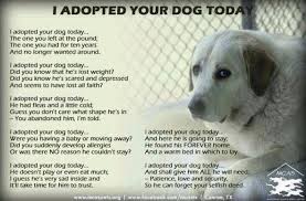 I Adopted Your Dog Today Rescue Quotes Dog Quotes Dogs