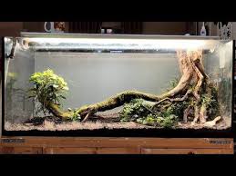 Rescape Aquascape Tank 120cm I Natural Style Youtube Ikan Akuarium Akuarium Ikan