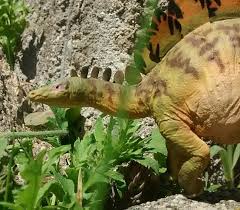 Size aside, the pnso stegosaurus is pure eye candy. Stegosaurus Pnso Dinosaur Toy Blog