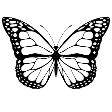 If you like the kawaii butterfly coloring page, you will find so much more coloring sheets for free! Free Printable Butterfly Coloring Pages For Kids Tsgos Com