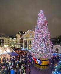 It's easy to get distracted by the array of beautiful trees in the high street windows, but you really should look at your home, the room where the tree will sit and just go with that. The Most Beautiful Christmas Trees In The World Wander Lust