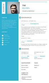 Cv Voorbeeld Nodig Vind Voorbeeld Cv S Hier Youngcapital