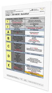 Bei der untersuchung und behandlung von notfallpatienten mittels abcde geht es ja darum einen ersteindruck sich zu verschaffen um den patienten in kritisch oder nicht kritisch einzustufen. Uberarbeitetes Abcde Schema Jetzt Verfugbar Rd Portal Mi Lk