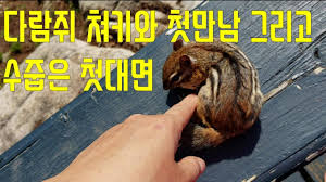 1 소위 대한민국 5대 재벌의 회장은 대부분 오너인 아버지의 슬하에서 부회장 직위를 거쳤다. ë¤ëì¥ì ì¹í´ì§ê¸° ë½ë¿ ì ë¨¸ ê°ë