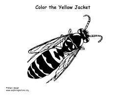 Below is a joyful birthday cupcake coloring page, which you'll be able to print out. Yellow Jacket Coloring Page