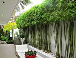 Bamboo fence panels bamboo screens bamboo privacy bamboo. Modern Clean Bamboo Landscape Design Google Search Modern Garden Landscaping Backyard Garden Design Bamboo Landscape