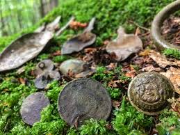 One place that seems to be popular in maine is long sands maine … it is a shore along the coast that is rumored to have all. Metal Detecting Treasures Album On Imgur