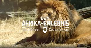 We did not find results for: Unsere Offnungszeiten Safariland Stukenbrock
