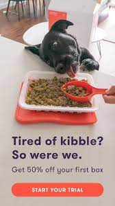 Meet Ollie Human Grade Dog Food Tailored To Your Dog S Individual Needs Delivered Straight T Dog Food Recipes Human Grade Dog Food Healthy Dog Food Recipes