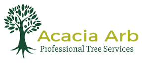 Acacia Arb | Bideford Tree Surgeon | Barnstaple Tree Surgeon