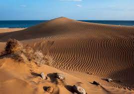 Baise dans les dunes