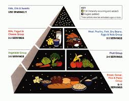 Food Pyramid Simple English Wikipedia The Free Encyclopedia