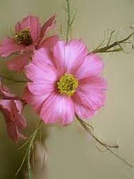 Sugar Cosmos Debbie Bunsic Tutorials Are Best For Flowers Sugar Flowers Gum Paste Flowers Fondant Flower Tutorial