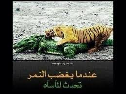 ويقدم موقع كورة 365 مشاهدة مباراة الاهلي والمريخ بث مباشر اليوم، والمقرر انطلاقها في تمام الساعة 3:00 مساءً بتوقيت القاهرة، الرابعة بتوقيت مكة المكرمة، وستذاع على الهواء حصرياً عبر قناة بي إن سبورت hd4 بأداء صوتي للمعلق حفيظ دراجي. ÙØ¶Ø§Ø¦Ø­ Ø§Ù„Ø§Ù‡Ù„ÙŠ Ø·Ø­Ø§Ù„Ø¨ Noor1861967392 Twitter