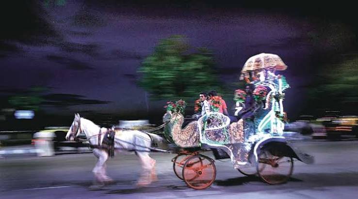 Mumbai's Victorias trot into pages of history | Art-and-culture News - The Indian Express