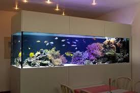 35 Wall Aquarium Ideas حوض سمك حوض منزل