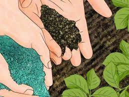 Best natural fertilizer for flowers. 3 Ways To Fertilize Flowers Wikihow