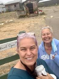 Beautiful fall garden display