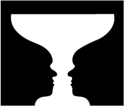 Image result for illusion pictures