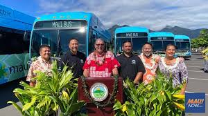 Image result for Maerua bussei