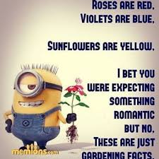 Minions Quotes Minions Life Quotes Instagram Photos And Videos Gardening Quotes Funny Roses Are Red Funny Funny Poems