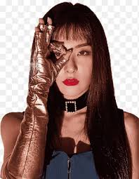 Irene terciopelo rojo ser natural k-pop terciopelo perfecto, pelo negro,  entretenimiento SM png