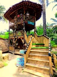 We encourage our guests to immerse fully into the natural surroundings to get the most out of your getaway at tadom hill resorts. Tadom Hill Resort Mypictureday Submission My First Article In Steemit Steemit