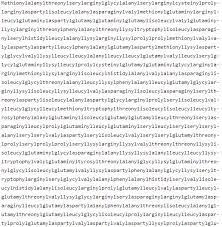 Simple to use, no settings, just click start for a countdown timer of 3 hours. World S Longest Word Has 189 819 Letters And It Takes 3 5 Hours To Pronounce Techglimpse