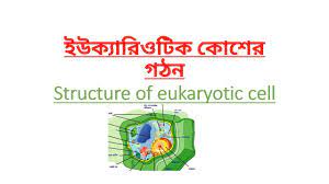 Each cell has a limiting boundary, the cell membrane, plasma membrane or plasmalemma. Structure Of Cell In Bengali à¦• à¦¶ à¦° à¦—à¦ à¦¨ Youtube