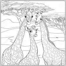 The show emphasizes the importance movement for children through a plot element called animoves, animations demonstrating specific. Background With Giraffe Family Outline Hand Drawing Good For Royalty Free Cliparts Vectors And Stock Illustration Image 110431111