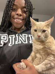 Hi everyone my name is Charlie my mum calls me Charlie brown...I'm new here  I'm guarding the front door for mum anyone comes through I grab them he he  he 😂 |