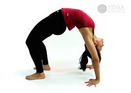 Wheel Pose Poses Yoga Poses Bow Pose