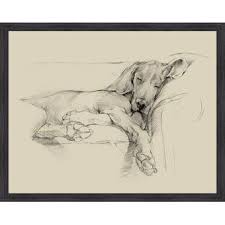 Dog Days I Framed Drawing Print Dog Sketch Canvas Art Prints Art