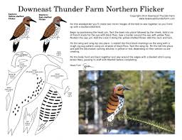 Northern Flicker Brown Bird With Red Spot On Back Of Head The Gentle Northern Flicker Felt Birds Felt Birds Ornaments Felt Christmas Ornaments