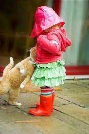 catphotos cats sevimli kedicik sevimli kediler hayvanlar