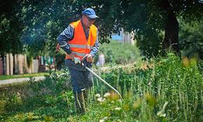 Prepping your grass for winter. Landscaping Insurance Lawn Care Business Insurance The Hartford