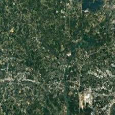 Check spelling or type a new query. Girl S Remains Found In Charlotte Home Mother Arrested Charlotte Observer