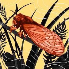 Need help understanding advantages of prime number lifecycle (self.cicadas). Summer Is Coming So Are Trillions Of Brood X Cicadas The Ringer