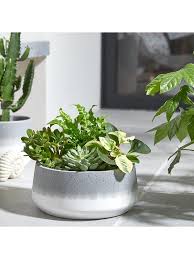 Buy products such as 3.5 white oval ceramic succulent plant pot/cactus plant pot with bamboo tray, set of 2 at walmart and save. Succulents Planter Large Very Co Uk