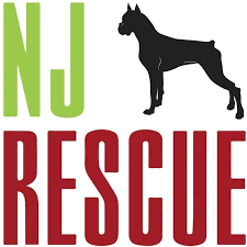 There are several more dogs in our shelter! New Jersey Boxer Rescue Inc Home Facebook