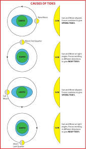 Moon And Sun Tidal Cause Map For Understanding Tides Earth