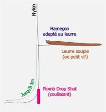 Le Drop Shot Peche Leurre Souple Drop