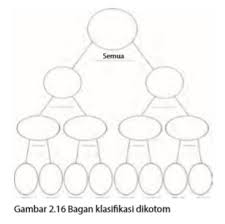 Check spelling or type a new query. Klasifikasi Dikotom Dan Kunci Determinasi Bukusekolah Net