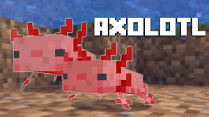 Then they got turned into canals. Alles Was Du Uber Axolotls In Minecraft Wissen Musst Minecraft 1 17 Larslp Youtube