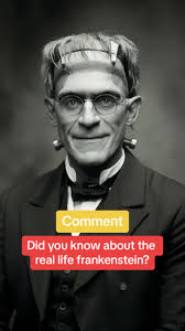 Franklin Stein Human