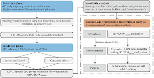 Free apasionada condena con rabia y lágrimas de diego schalper por asesinato de joven carabinero mp3. Aging Epigenome Wide Gene X2013 Age Interaction Analysis Reveals Reversed Effects Of I Prodh I Dna Methylation On Survival Between Young And Elderly Early Stage Nsclc Patients Full Text