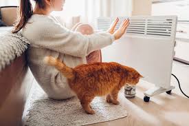 Most electric wall panel heaters tend to be high and often slim, making them simpler to transport. Best Electric Heaters In 2021 As Reviewed By Australian Consumers Productreview Com Au