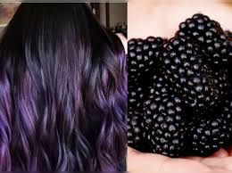 Here are your color options for dyeing dark hair: Blackberry Is The Best Hair Colour For Black Hair Times Of India